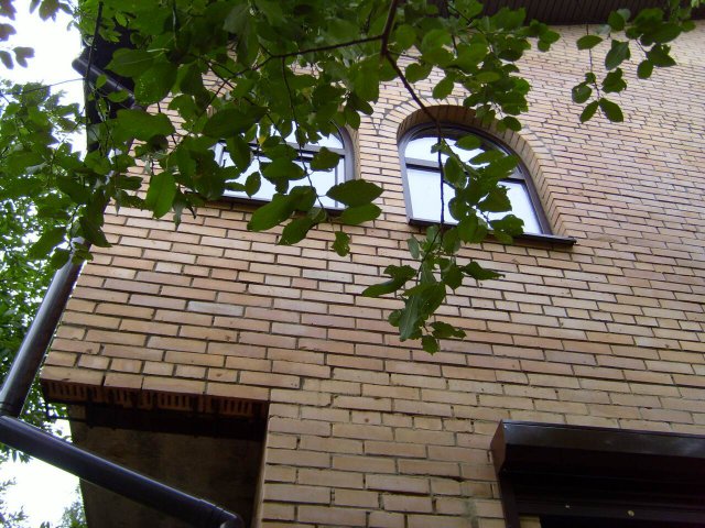 Image Image